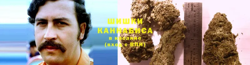 Бошки Шишки Amnesia  Курганинск 